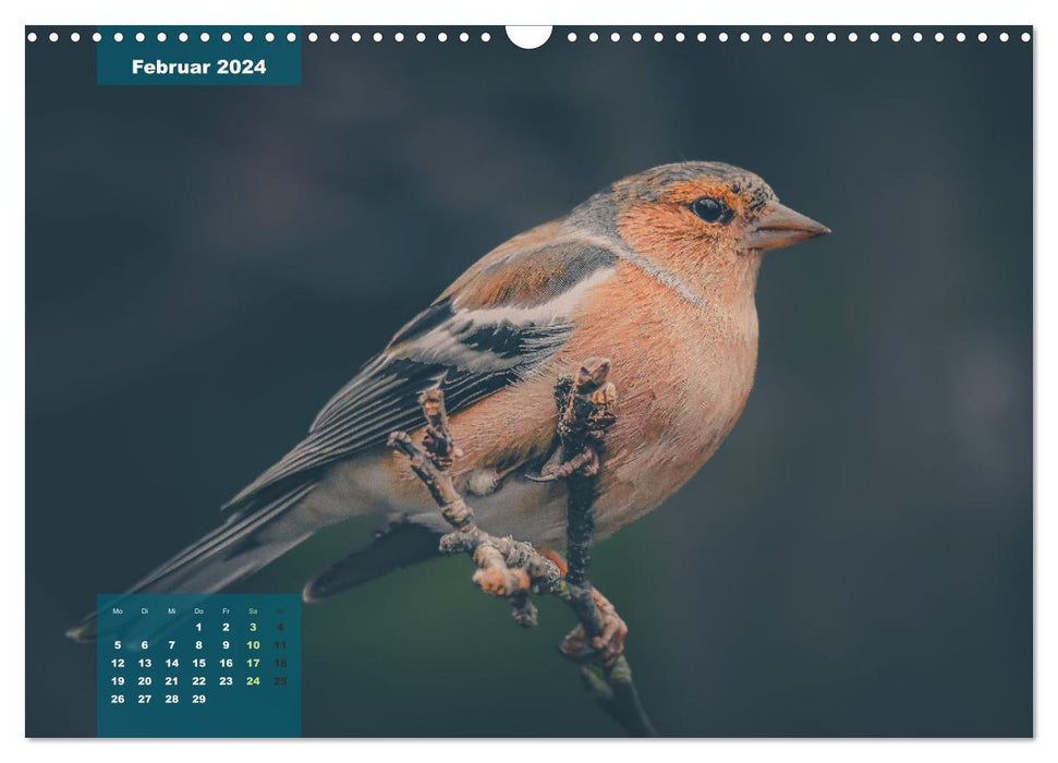 Gefiederte Vogelfreunde (CALVENDO Wandkalender 2024)