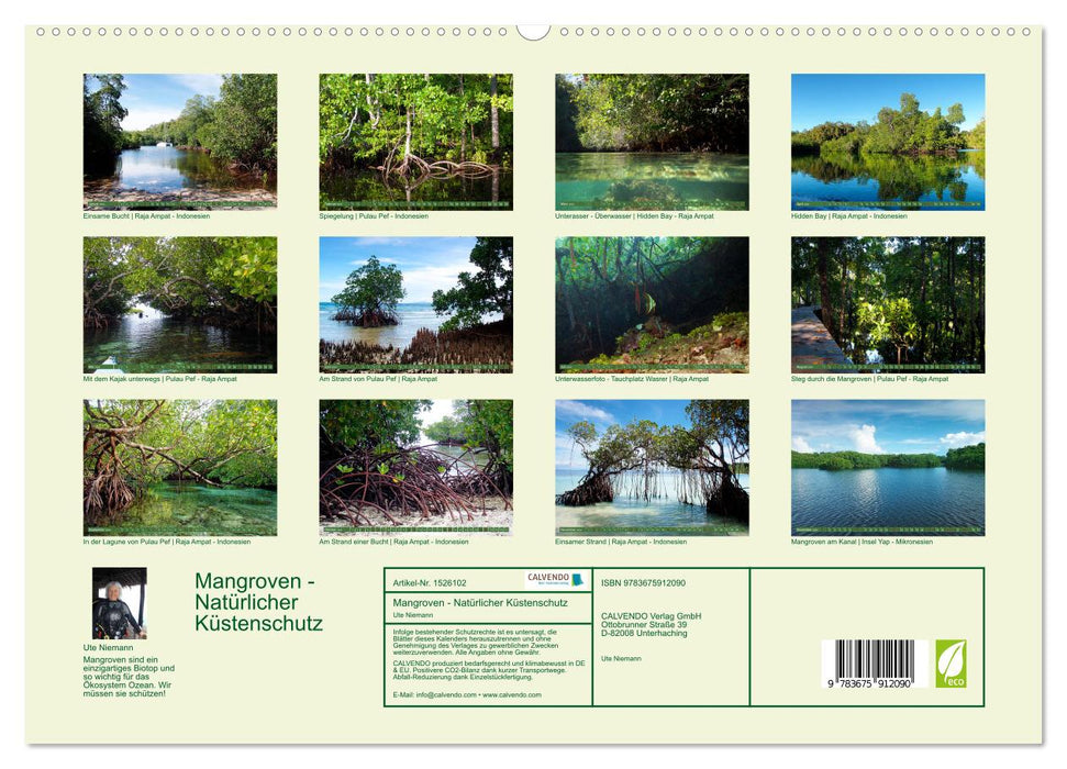 Mangroves - Protection naturelle des côtes (Calvendo Premium Wall Calendar 2024) 