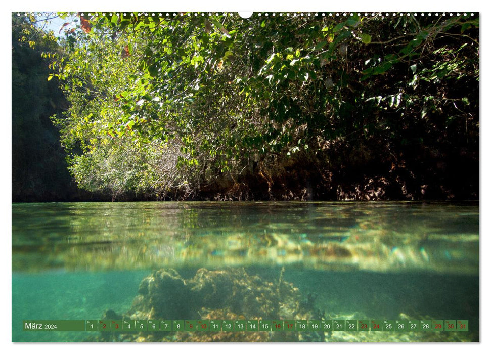 Mangroven - Natürlicher Küstenschutz (CALVENDO Premium Wandkalender 2024)