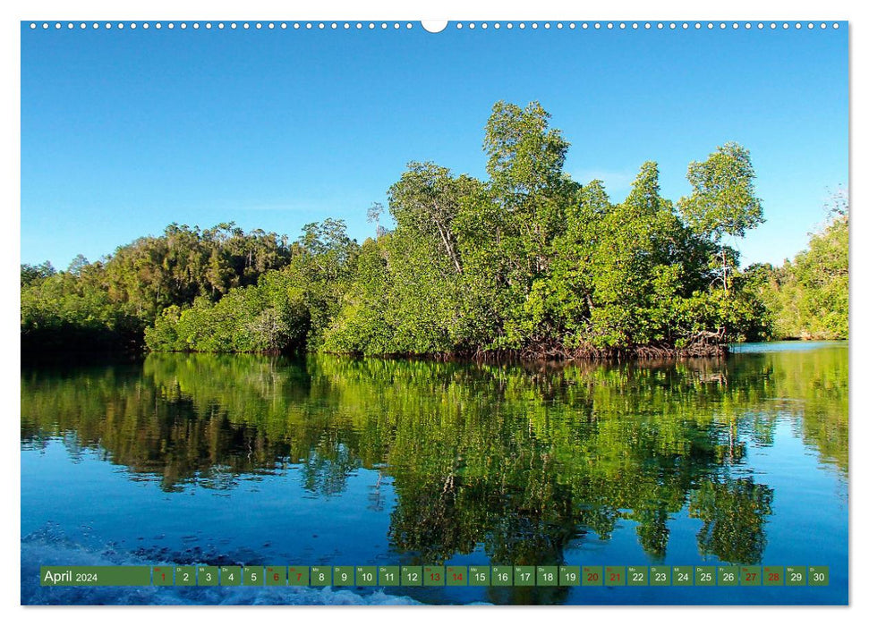 Mangroves - Protection naturelle des côtes (Calvendo Premium Wall Calendar 2024) 