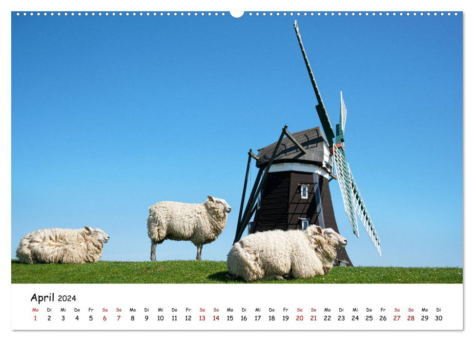 Discover Home - Îles de la Frise du Nord (Calvendo Premium Wall Calendar 2024) 