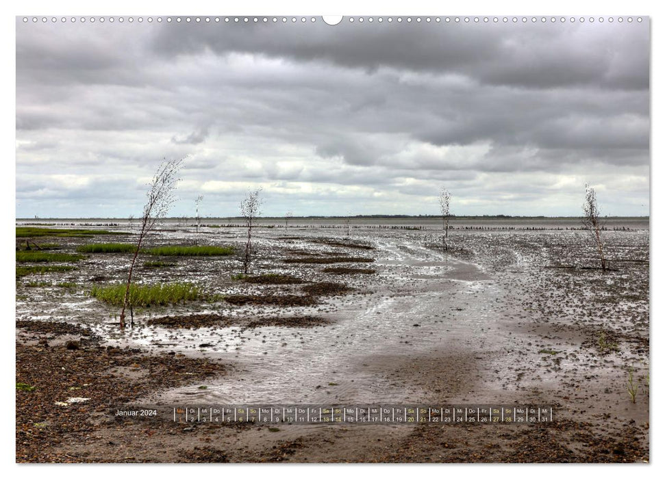 Mandø - Perle im dänischen Wattenmeer (CALVENDO Premium Wandkalender 2024)