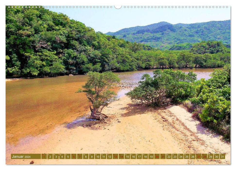 In the subtropics (CALVENDO wall calendar 2024) 