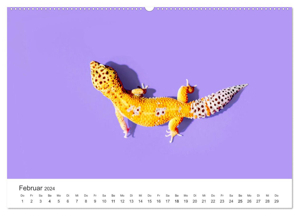 Reptilien - Tierische Farbenpracht (CALVENDO Wandkalender 2024)