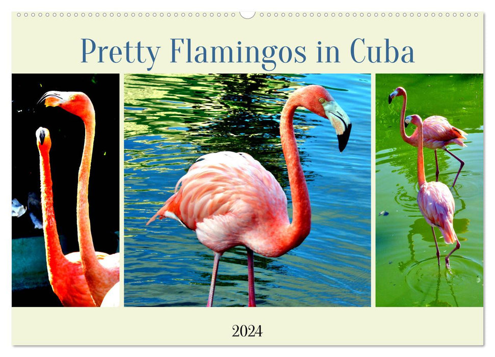 Pretty Flamingos in Cuba (CALVENDO Wandkalender 2024)