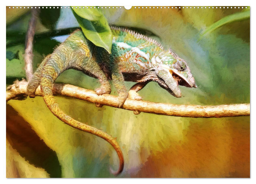 Animal Color Festival - Artwork (CALVENDO Premium Wall Calendar 2024) 