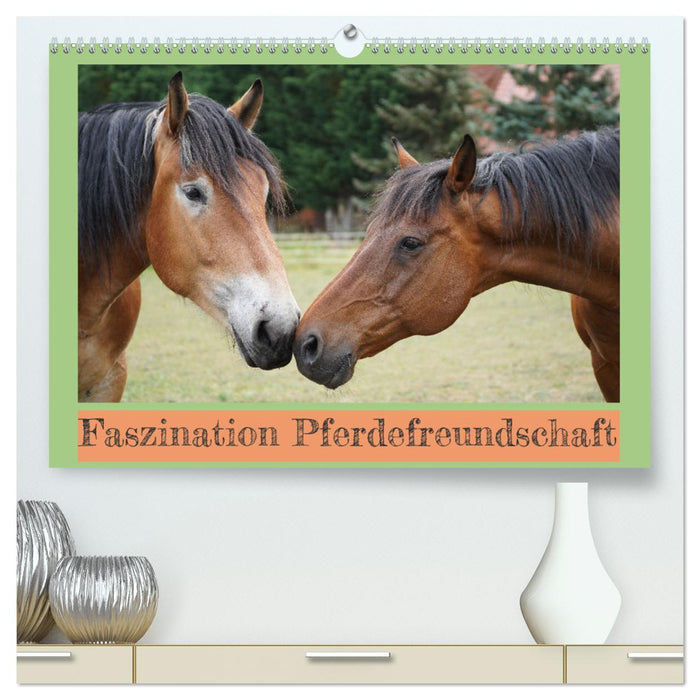 The fascination of horse friendship (CALVENDO Premium Wall Calendar 2024) 