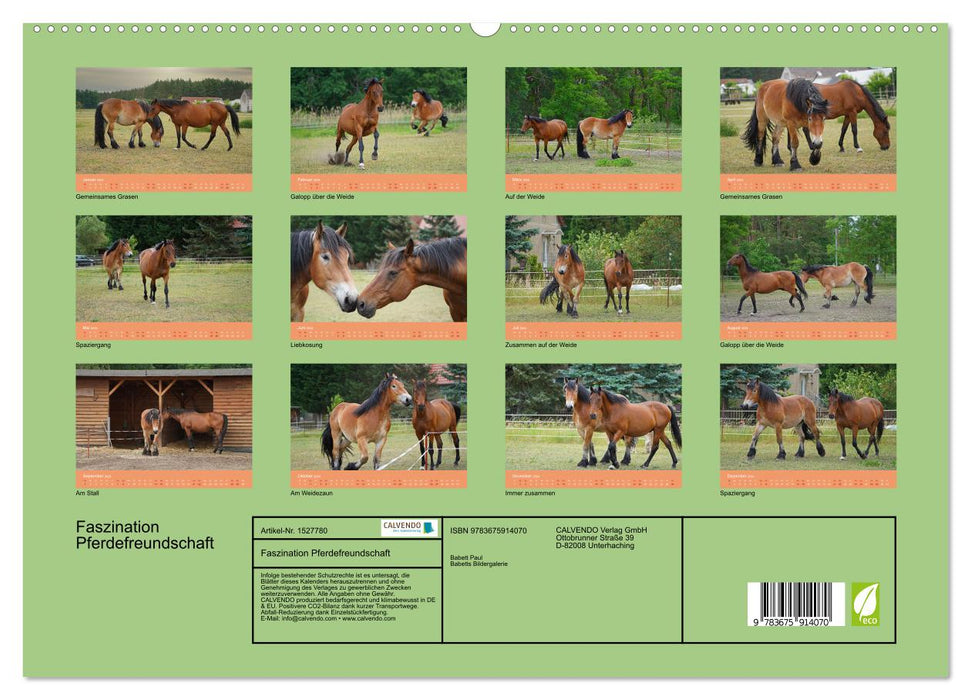 The fascination of horse friendship (CALVENDO Premium Wall Calendar 2024) 