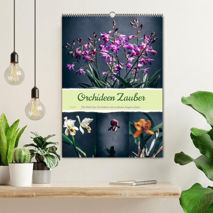 Orchideen Zauber (CALVENDO Wandkalender 2024)