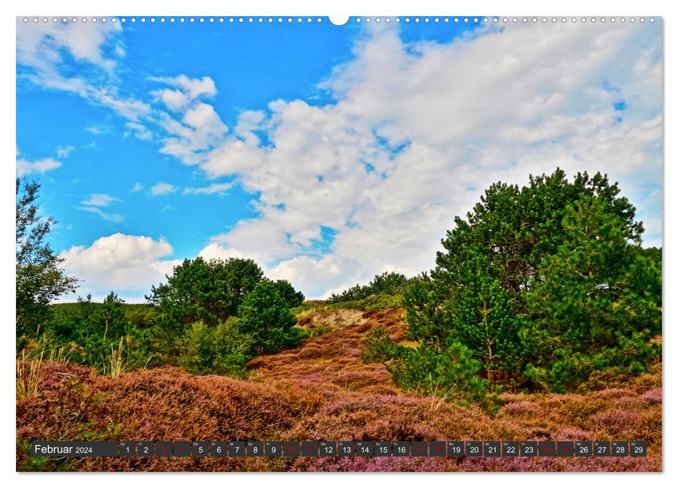 Paysages de notre patrie (Calendrier mural CALVENDO 2024) 