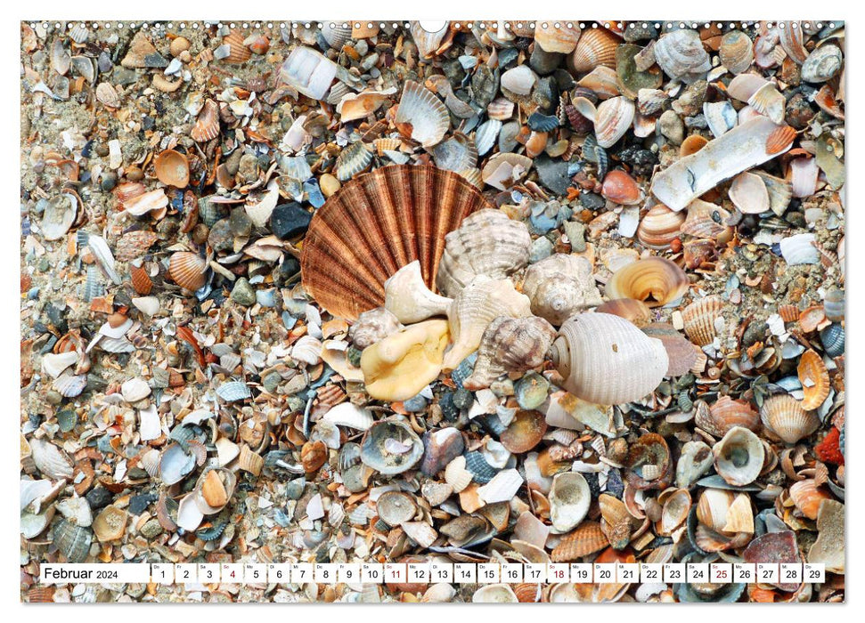 Strandgut Szenen (CALVENDO Premium Wandkalender 2024)