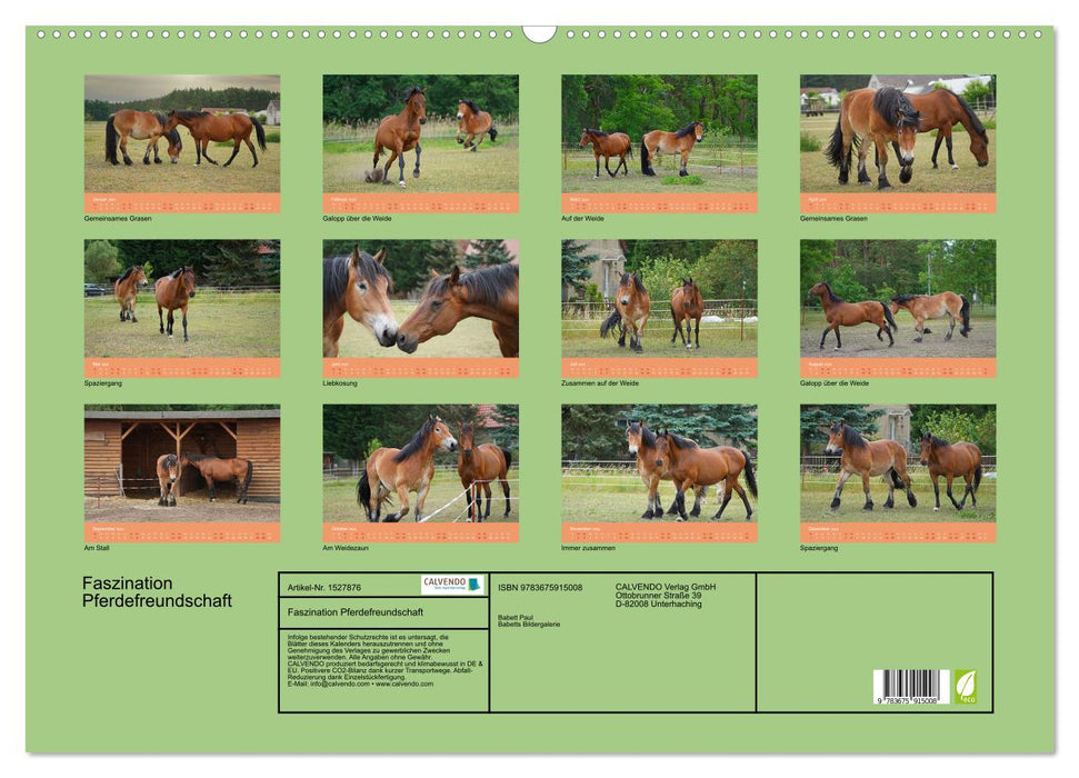 The fascination of horse friendship (CALVENDO wall calendar 2024) 