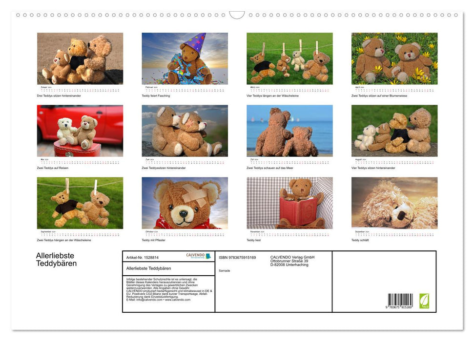 Allerliebste Teddybären (CALVENDO Wandkalender 2024)