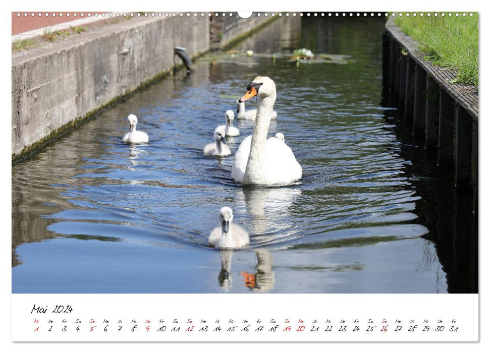 Boat and Bike South Holland (CALVENDO wall calendar 2024) 