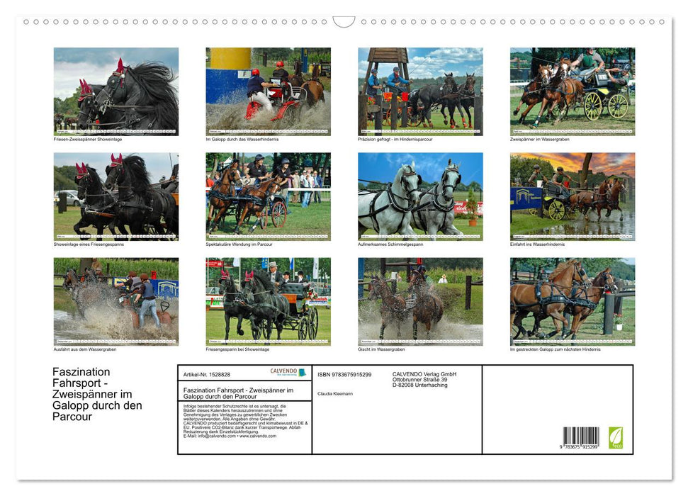 The fascination of driving - pairs galloping through the course (CALVENDO wall calendar 2024) 