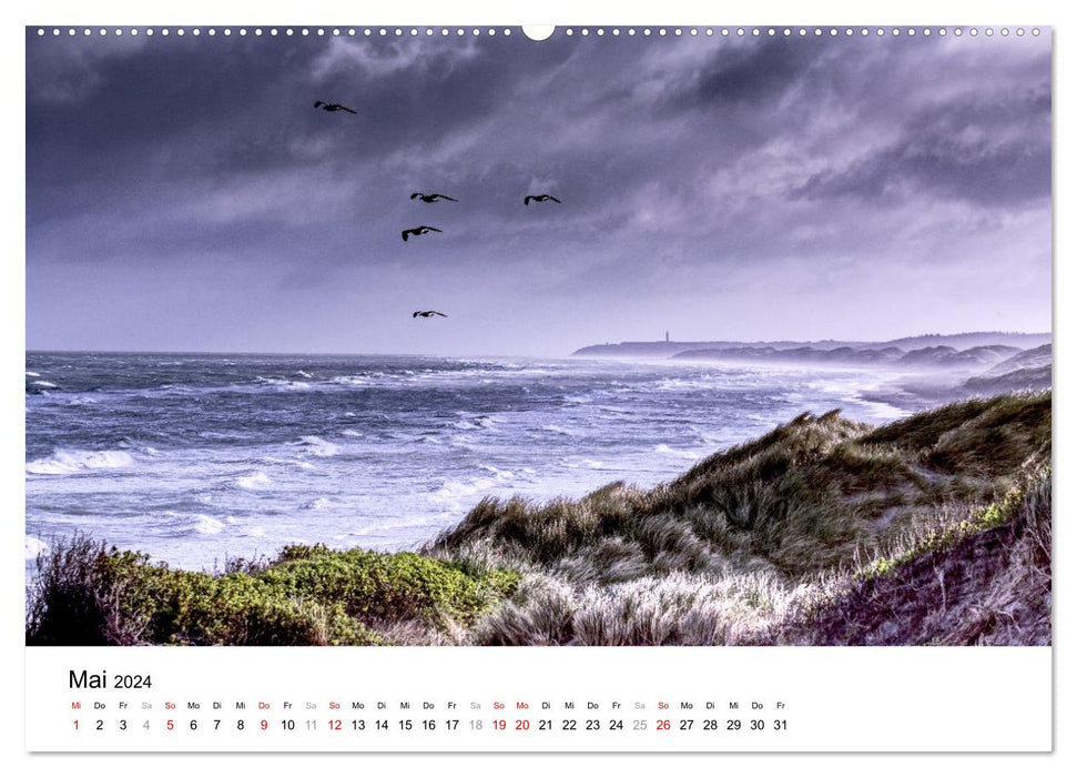 Dune moments - A day in the dunes of North Jutland (CALVENDO wall calendar 2024) 