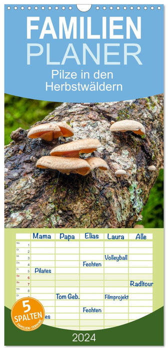 Pilze in den Herbstwäldern (CALVENDO Familienplaner 2024)