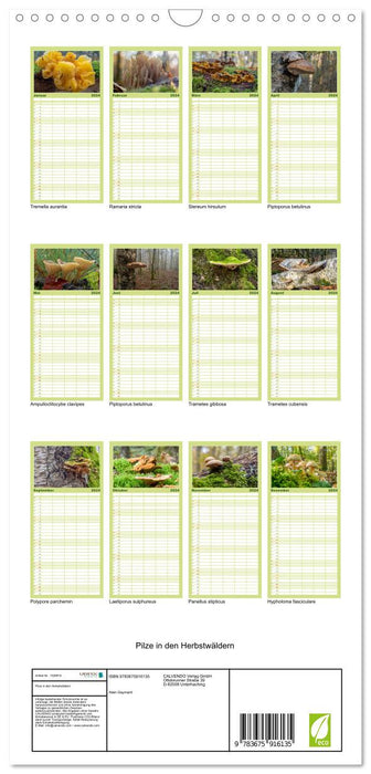 Champignons dans les forêts d'automne (Agenda familial CALVENDO 2024) 