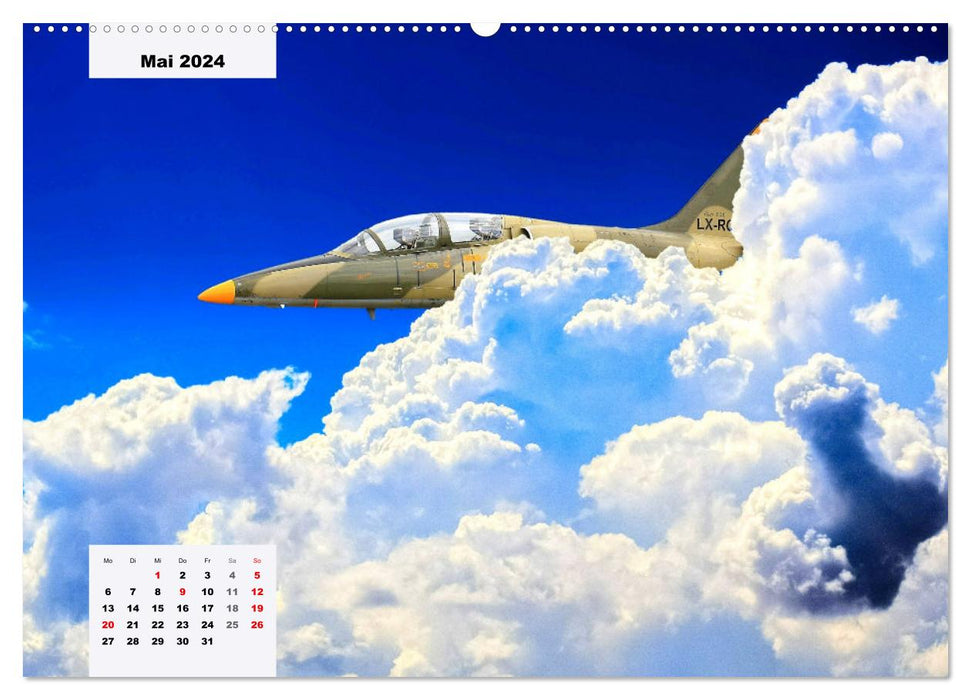 Avions de chasse. Fascination pour les avions de chasse (Calvendo Premium Wall Calendar 2024) 