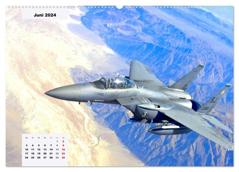 Avions de chasse. Fascination pour les avions de chasse (Calvendo Premium Wall Calendar 2024) 
