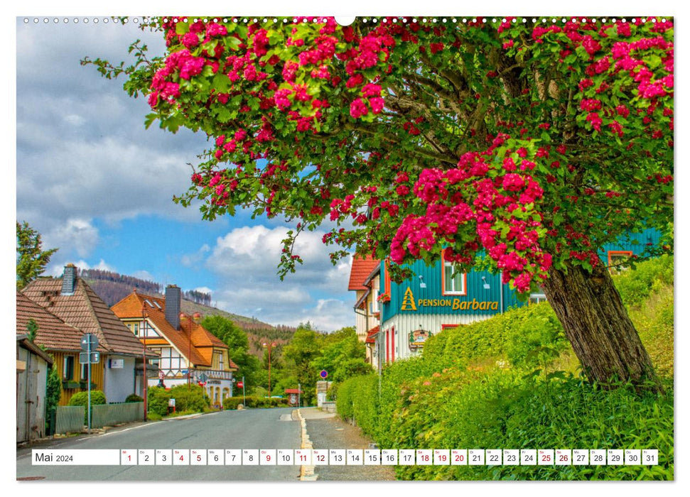 Schierke am Brocken - Le plus beau village sous le sommet du Brocken (Calendrier mural CALVENDO Premium 2024) 