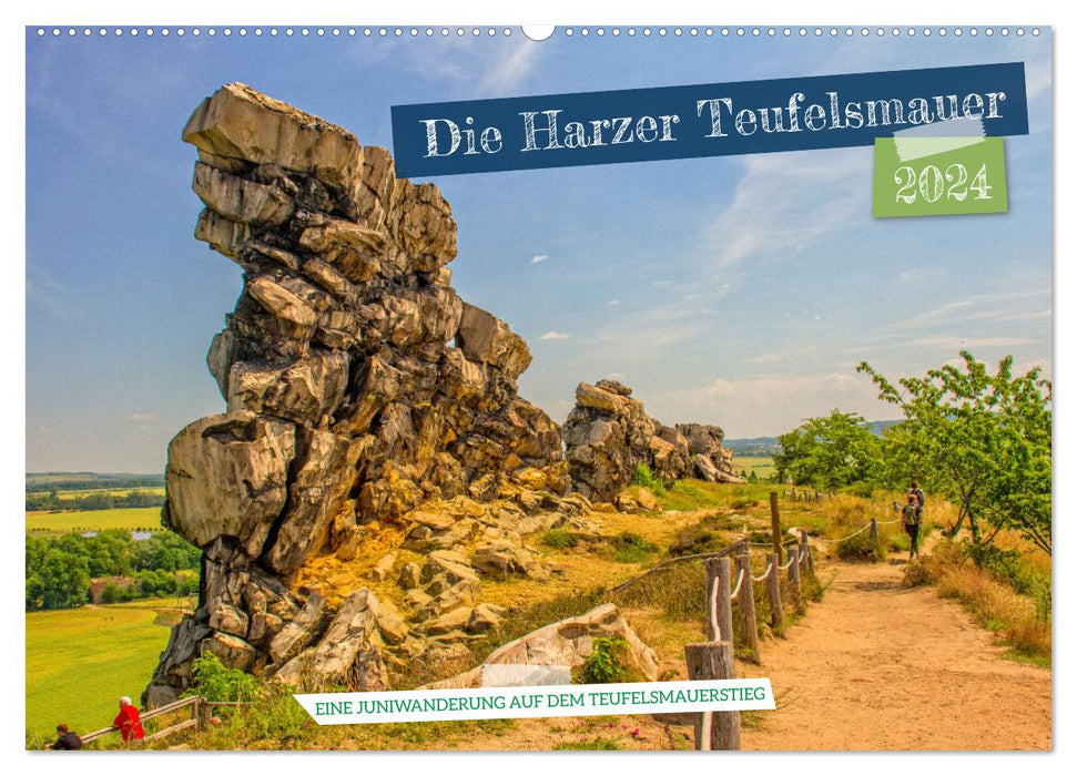 Die Harzer Teufelsmauer – Eine Juniwanderung auf dem Teufelsmauerstieg (CALVENDO Wandkalender 2024)
