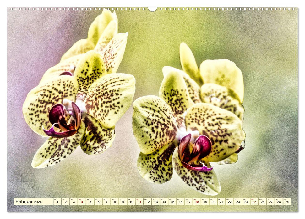Orchideen im Retro-Stil (CALVENDO Wandkalender 2024)