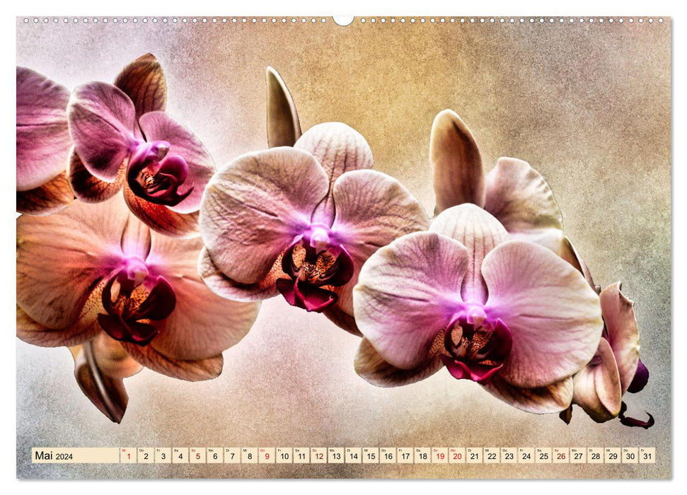 Orchideen im Retro-Stil (CALVENDO Wandkalender 2024)