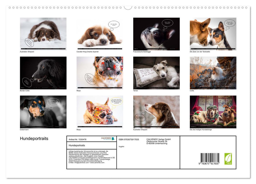 Hundeportraits, Hunde sind unsere besten Freunde by VogtArt (CALVENDO Premium Wandkalender 2024)