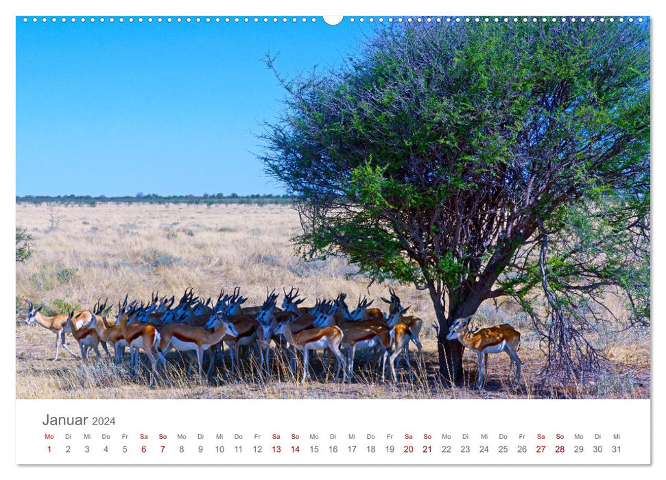 Namibia - Land im Süden Afrikas (CALVENDO Premium Wandkalender 2024)