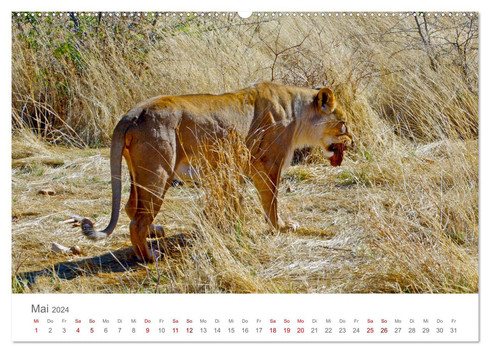 Namibia - country in southern Africa (CALVENDO Premium Wall Calendar 2024) 