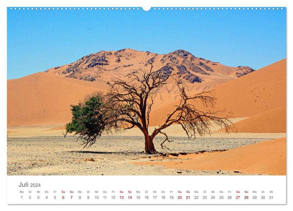 Namibia - Land im Süden Afrikas (CALVENDO Premium Wandkalender 2024)