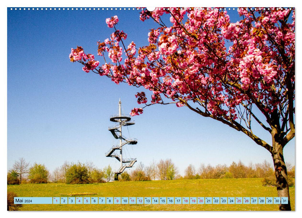 Impressionen aus dem Bürgerpark der Hansestadt Wismar (CALVENDO Premium Wandkalender 2024)