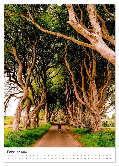 Nordirland - Landschaft, die beeindruckt (CALVENDO Premium Wandkalender 2024)
