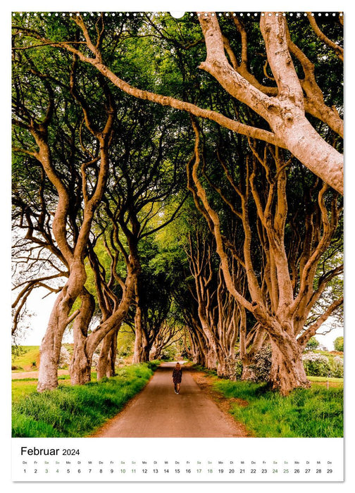 Northern Ireland - landscape that impresses (CALVENDO Premium Wall Calendar 2024) 