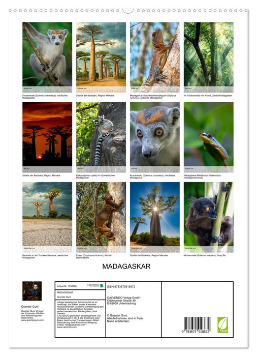 MADAGASCAR: Baobabs, lemurs, natural wonders (CALVENDO Premium Wall Calendar 2024) 