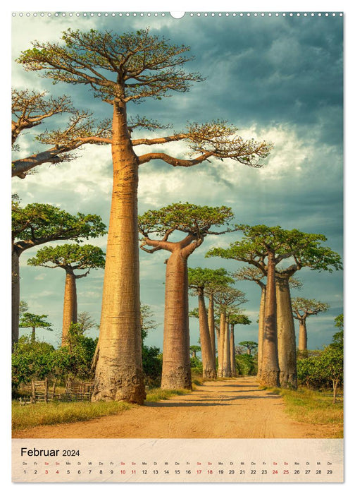 MADAGASCAR: Baobabs, lemurs, natural wonders (CALVENDO Premium Wall Calendar 2024) 
