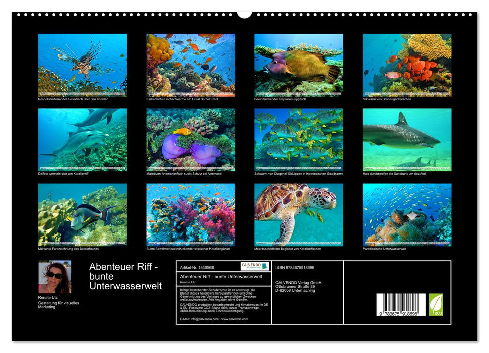 Abenteuer Riff - bunte Unterwasserwelt (CALVENDO Premium Wandkalender 2024)