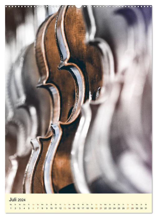 Die Geige meine Liebe (CALVENDO Premium Wandkalender 2024)