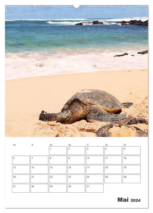 Hawaii - Reiseplaner (CALVENDO Premium Wandkalender 2024)