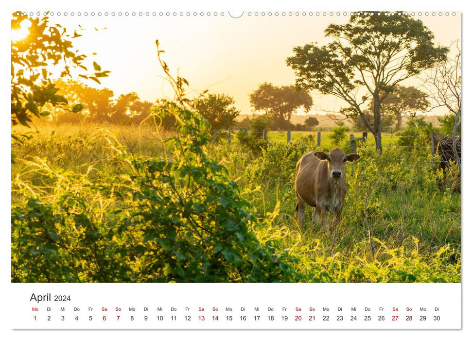 Bolivien - Das bezaubernde Land in Südamerika. (CALVENDO Wandkalender 2024)