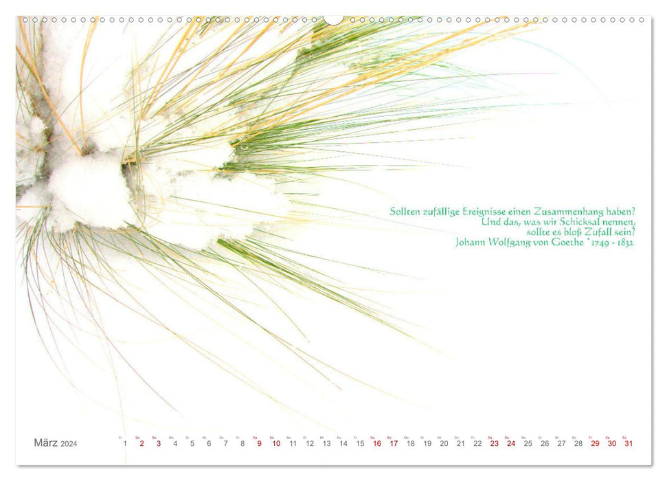 Über den Zufall - Nachdenk-Kalender (CALVENDO Premium Wandkalender 2024)