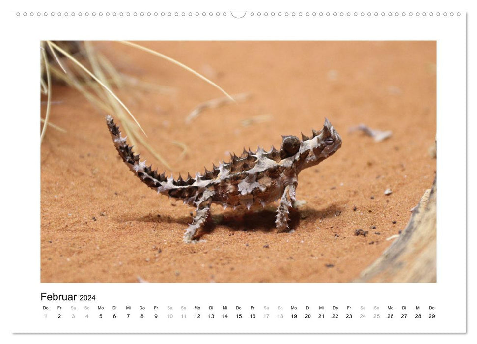 Traumziel Australien - Faszinierende Tierwelt 2024 (CALVENDO Premium Wandkalender 2024)