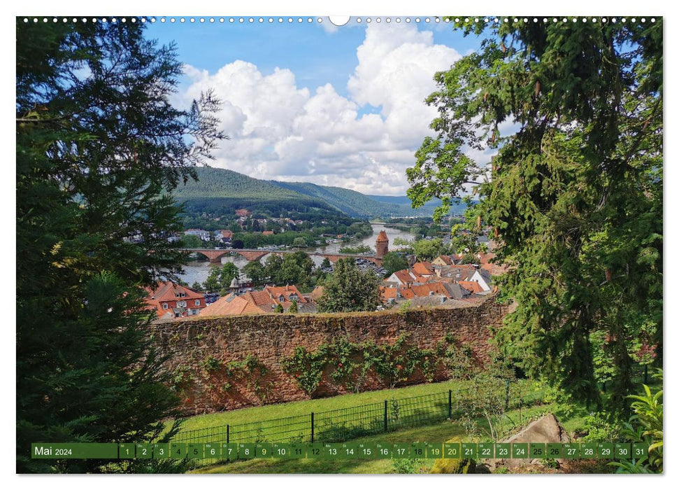 Wanderbares Miltenberg (CALVENDO Premium Wandkalender 2024)