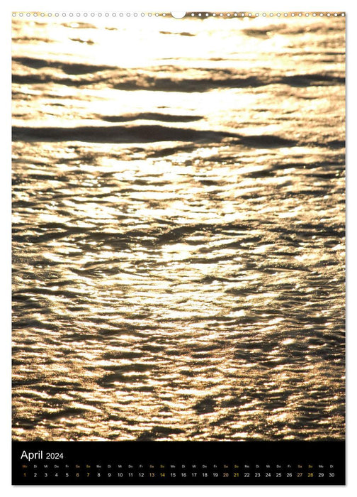 Sea Gold Calendar (CALVENDO Premium Wall Calendar 2024) 