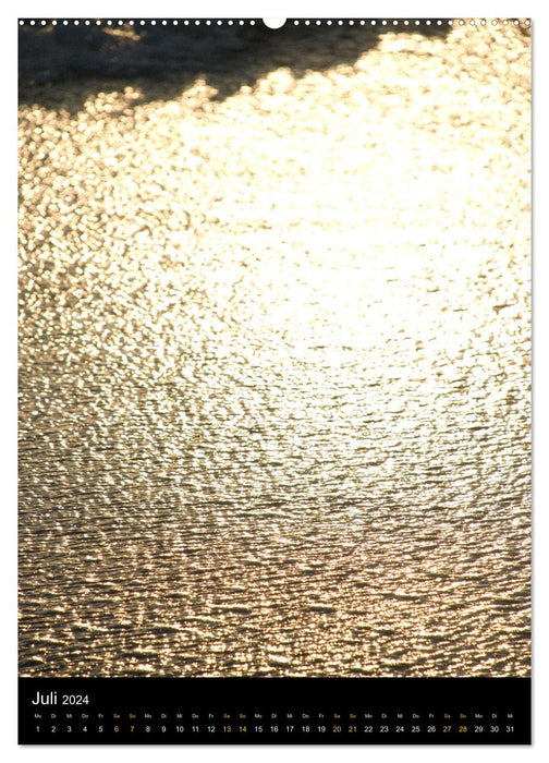 Sea Gold Calendar (CALVENDO Premium Wall Calendar 2024) 