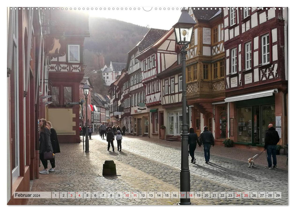 Hiking Miltenberg (CALVENDO wall calendar 2024) 