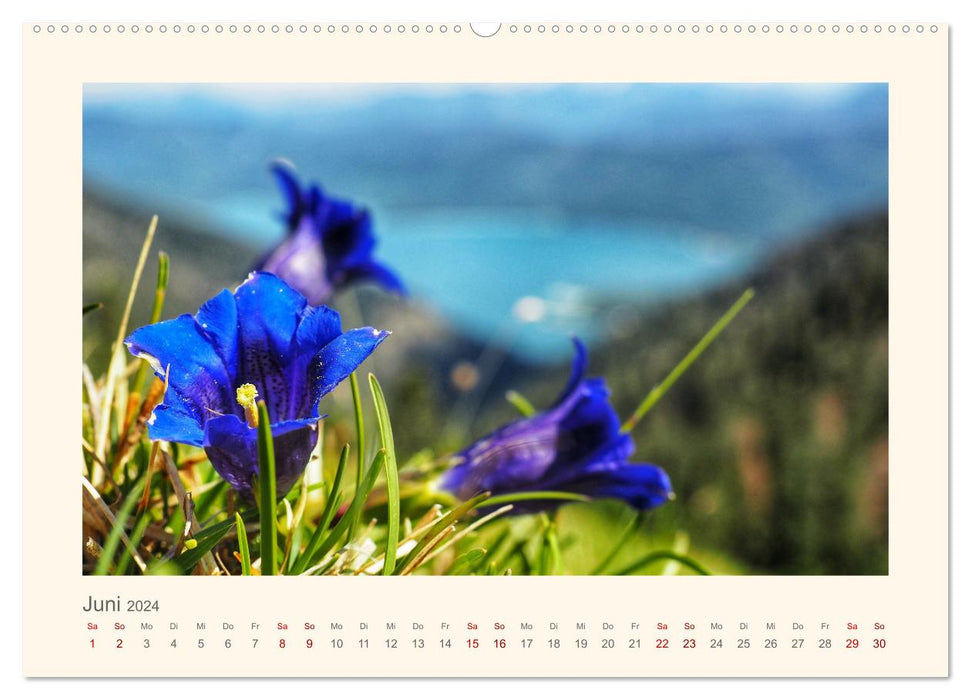 Alpen Blick (CALVENDO Premium Wandkalender 2024)