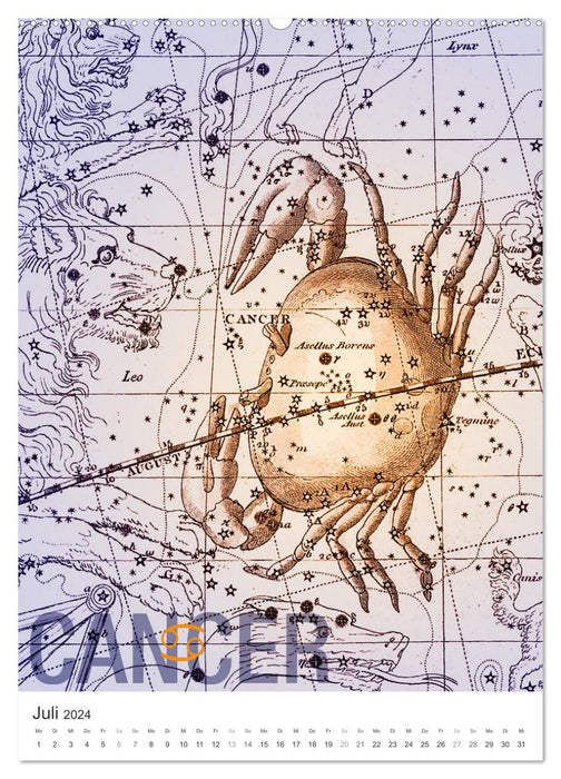 Zodiac calendar (CALVENDO Premium wall calendar 2024) 