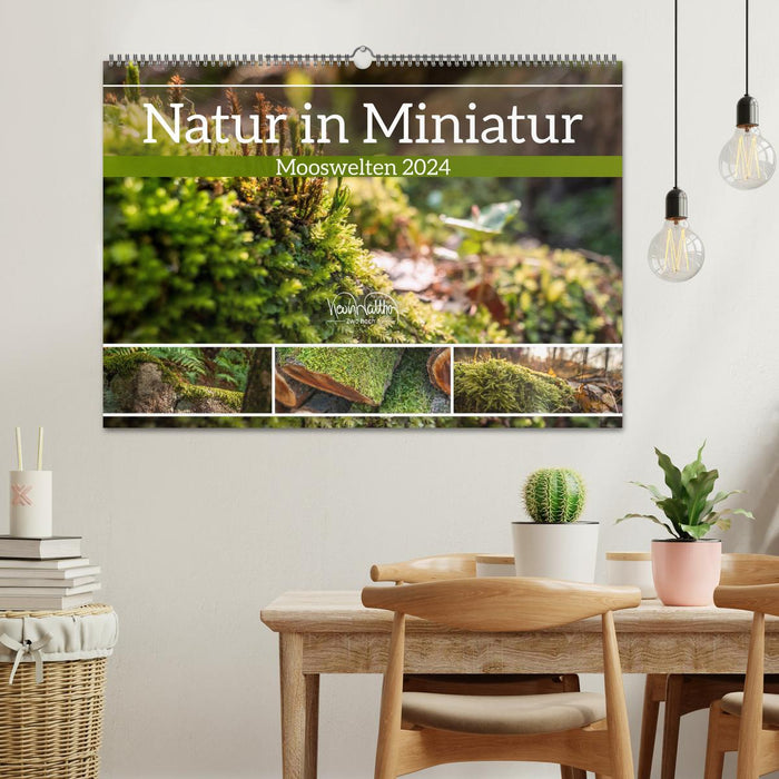 La nature en miniature - mondes de mousse (Calendrier mural CALVENDO 2024) 